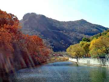 澳门天天免费精准大全，兰德酷路泽论坛